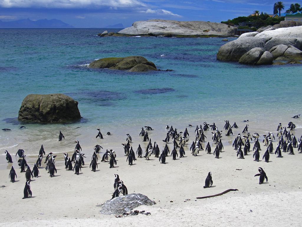 Roman Rock Apartments Simon's Town Bagian luar foto